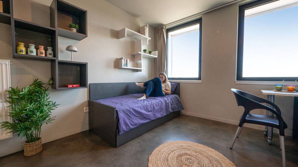 Studio meublé de la résidence Nemea Lille Eurasanté